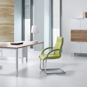 Arqui Fly
