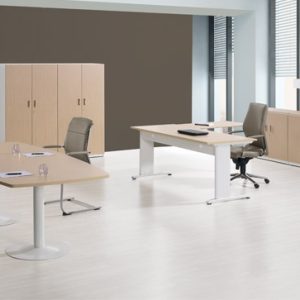 Moderata 1